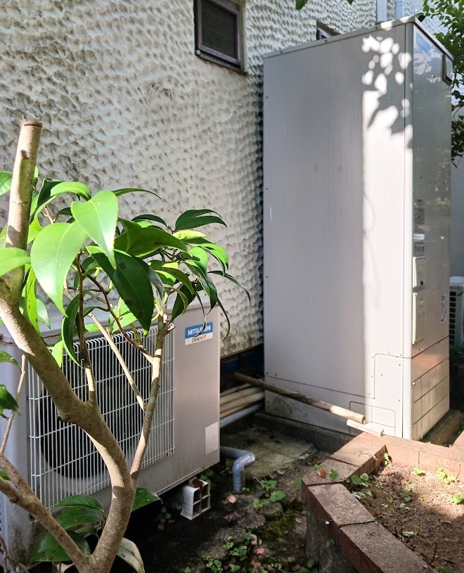 Before画像